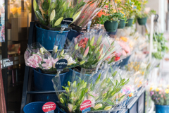 横浜元町スナップ