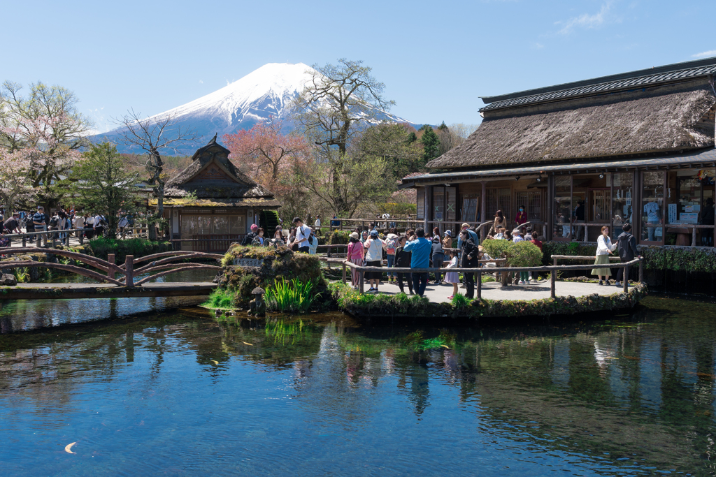 春の忍野村