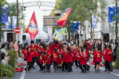 横浜よさこい祭り 2023