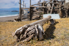 秋谷海岸スナップ