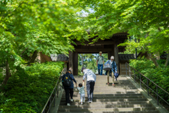 鎌倉　円覚寺