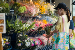 元町商店街スナップ