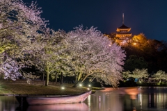 三渓園　桜ライトアップ2023