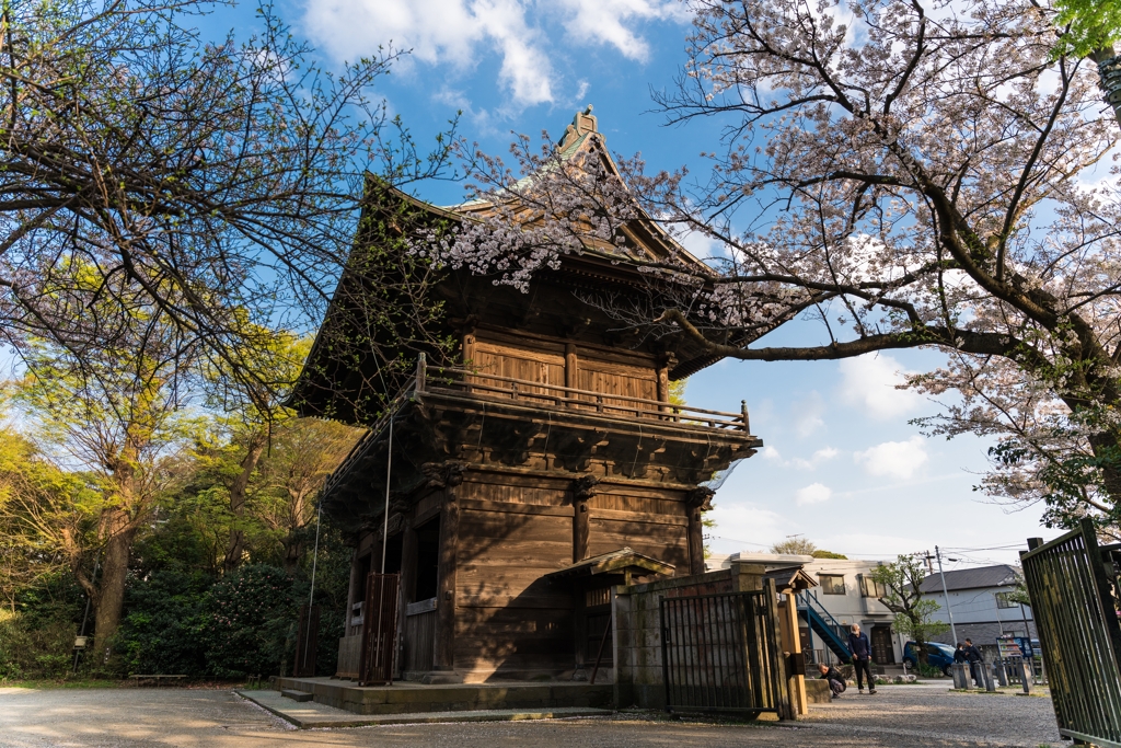 2023年　春の称名寺