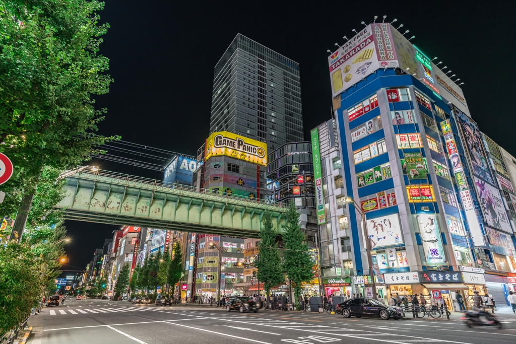 秋葉原スナップ