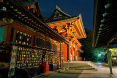 鎌倉　鶴岡八幡宮　夜スナップ