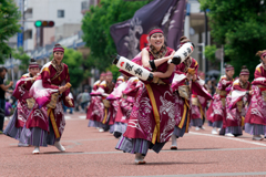 第19回 湘南よさこい祭り