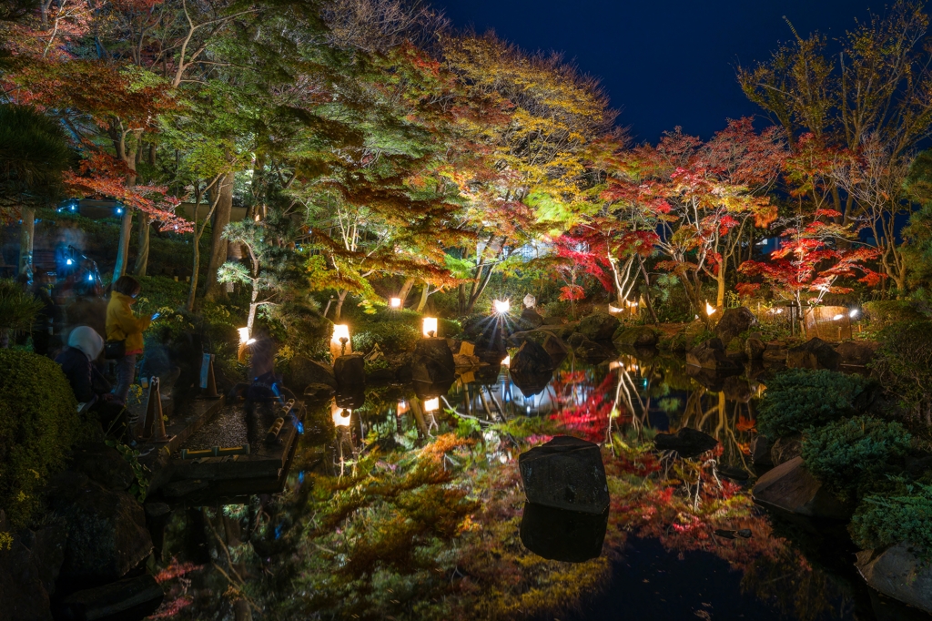 大磯城山公園　紅葉ライトアップ2023