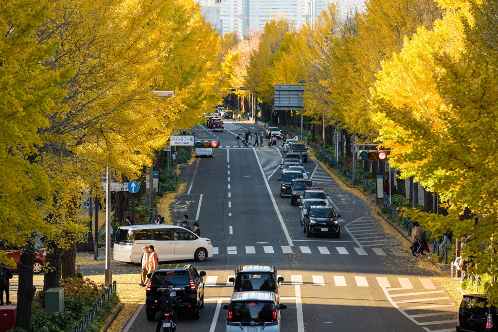 山下公園　紅葉