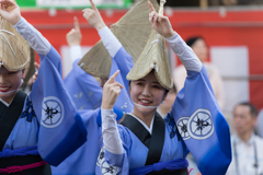 第65回 東京高円寺阿波おどり