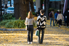 山下公園　紅葉