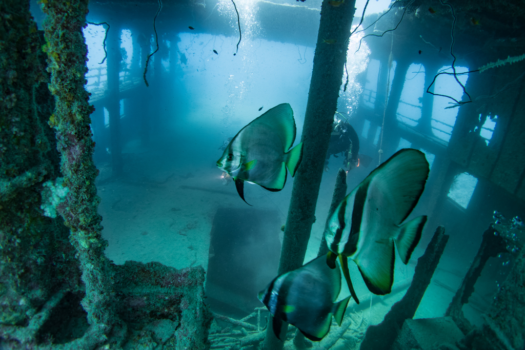 沈船　あさしお丸
