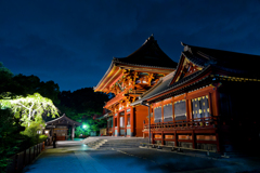 鎌倉　鶴岡八幡宮　夜スナップ