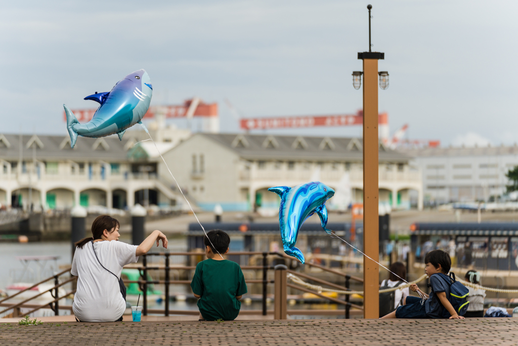 八景島あじさい祭り2023