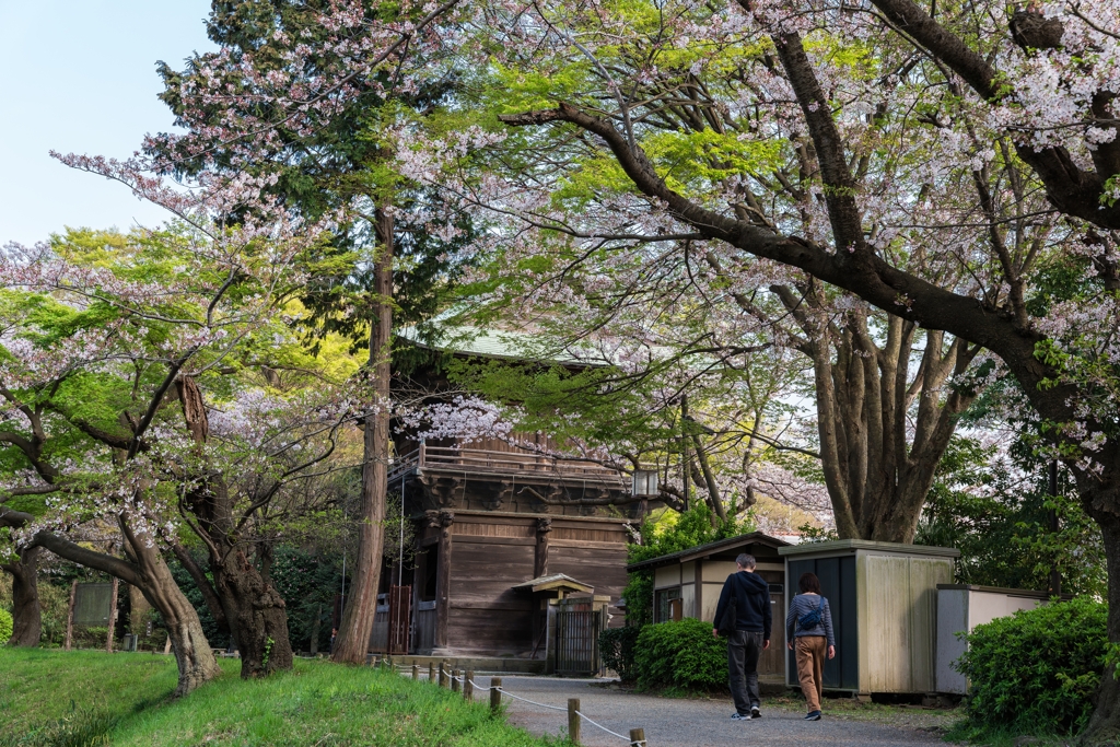 2023年　春の称名寺