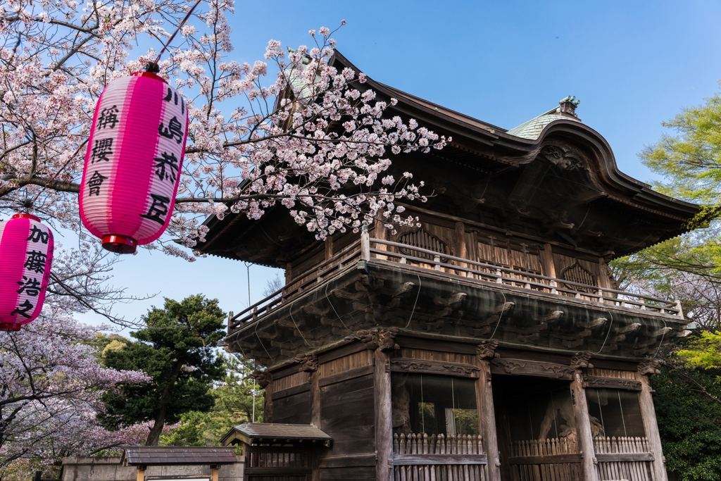 2023年　春の称名寺