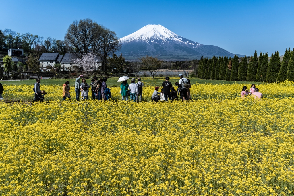 花の都公園