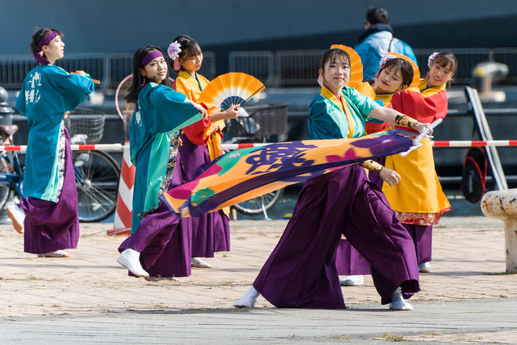 横浜よさこい祭り2023