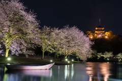 三渓園　桜ライトアップ2023