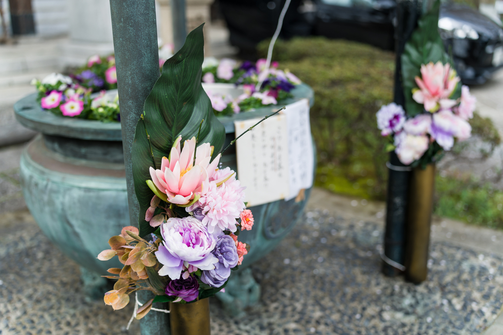 西中山 常照寺 花まつり