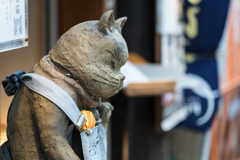 鎌倉小町通りスナップ