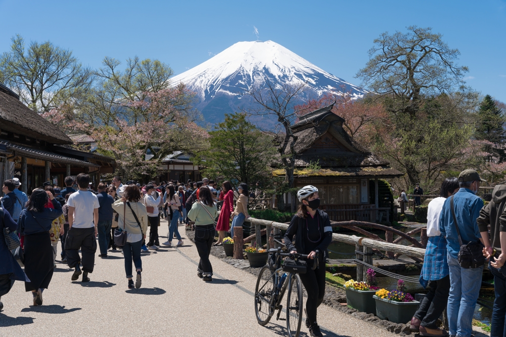 春の忍野村