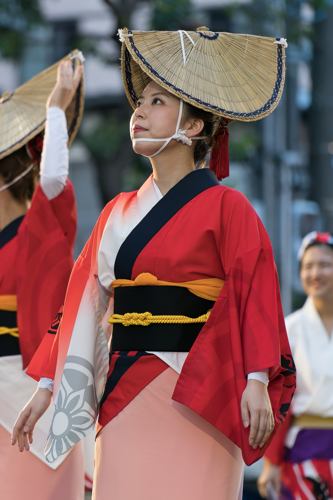 第64回 東京高円寺阿波おどり