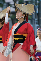 第64回 東京高円寺阿波おどり