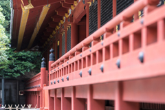 鎌倉、鶴岡八幡宮スナップ