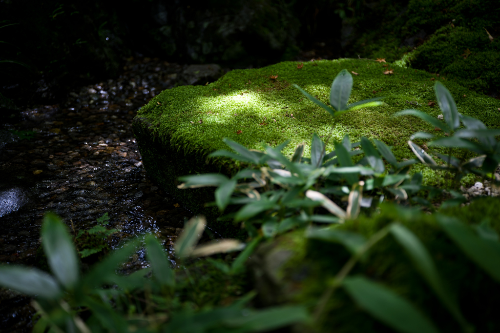 鎌倉　一条恵観山荘