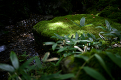 鎌倉　一条恵観山荘