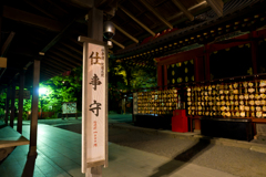 鎌倉　鶴岡八幡宮　夜スナップ