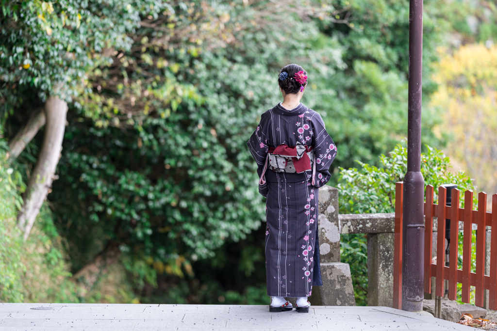 鎌倉、鶴岡八幡宮スナップ