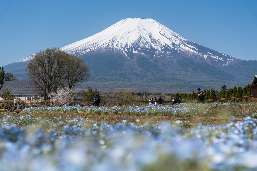 花の都公園