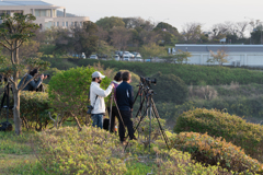 湘南国際村からダイヤモンド富士が見れる日