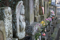 金沢文庫　称名寺