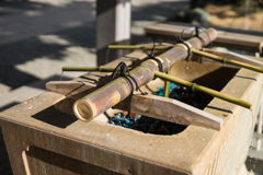 森戸神社スナップ