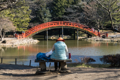 金沢文庫　称名寺