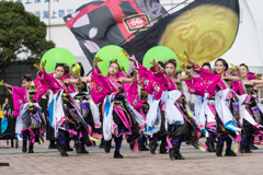 横浜よさこい祭り 2022