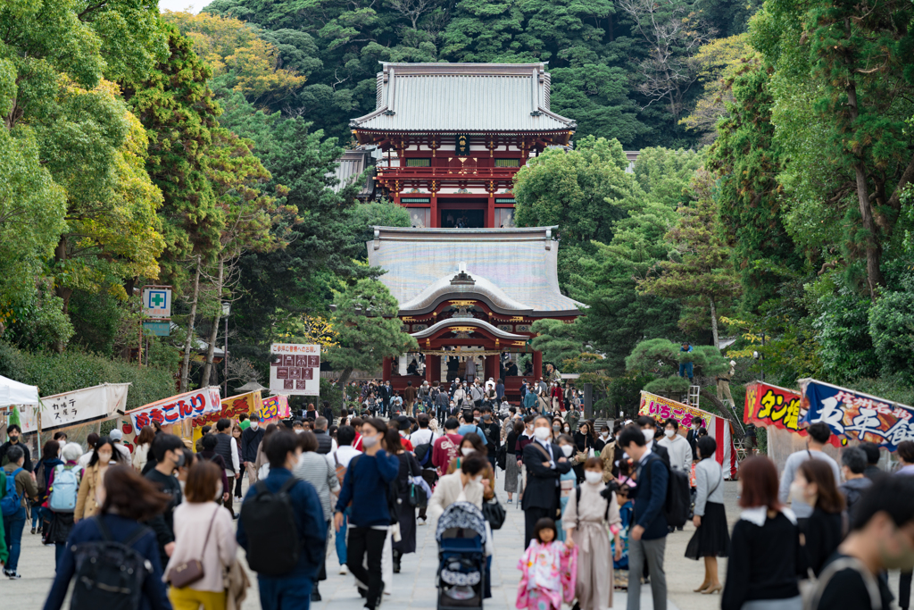 鎌倉、鶴岡八幡宮スナップ