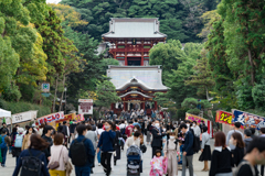 鎌倉、鶴岡八幡宮スナップ