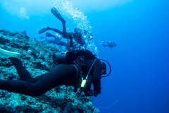 下地島ダイビング