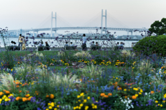 山下公園　スナップ