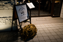 アストンマーチン（28-45mm F1.8 DG DN試写）
