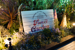 赤レンガ倉庫　フラワーガーデン