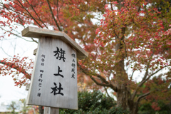 鎌倉、鶴岡八幡宮スナップ
