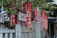 江ノ島　スナップ