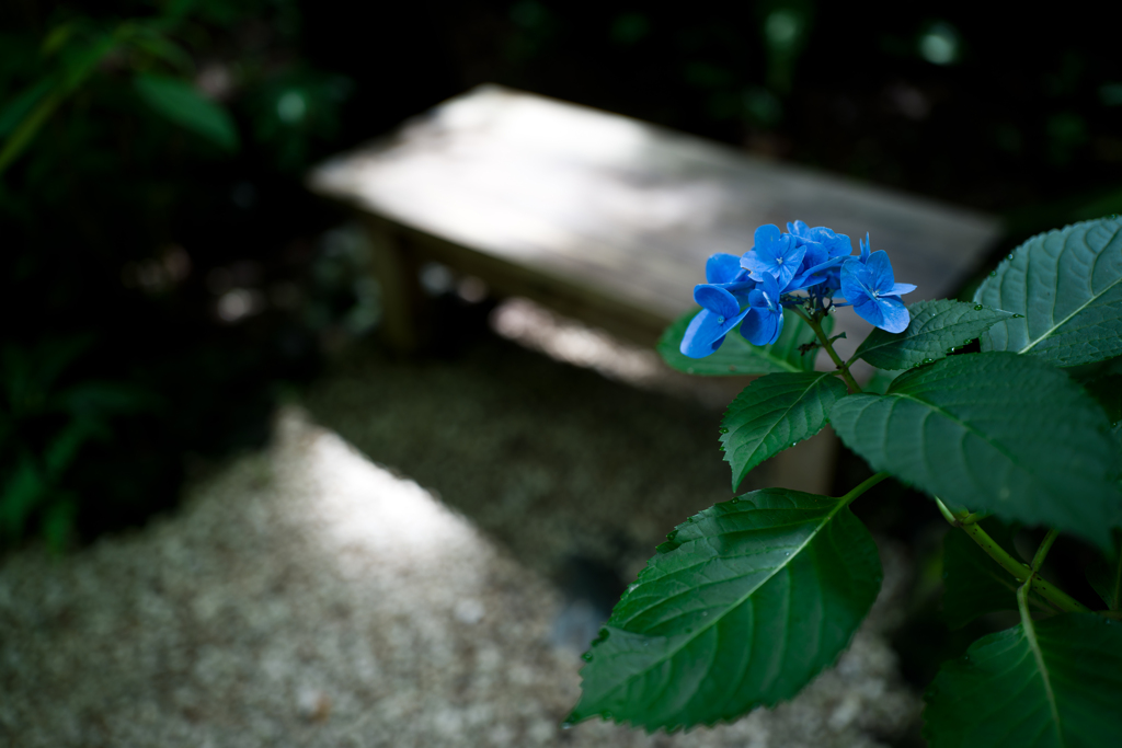 鎌倉　一条恵観山荘
