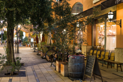 川崎チネチッタ通り