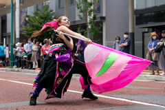 第19回 湘南よさこい祭り